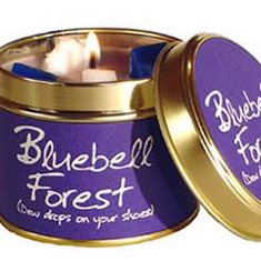 Bluebell Forest